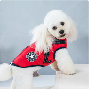 Chic Padded Pet Ski Vest